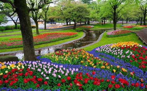 玉合公園裡的花木是如何種植與照料